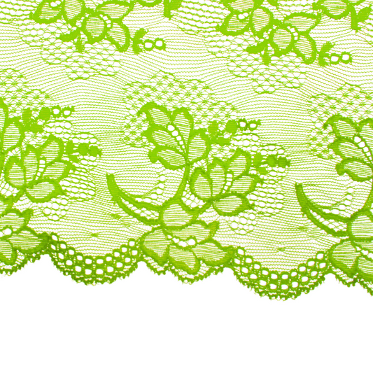 Blonda muestra 11/14/17